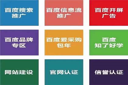 搜索引擎优化（SEO）与竞价广告（SEM）的对比案例